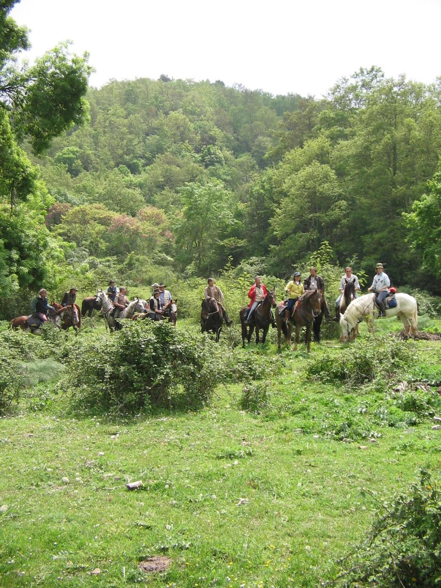 Agriturismo Casale Bonaparte Cellere Экстерьер фото